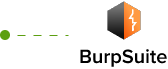 burpsuite
